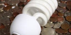 bulbs_money_maintracts-295×390