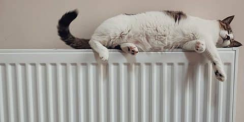 cat-central-heating1