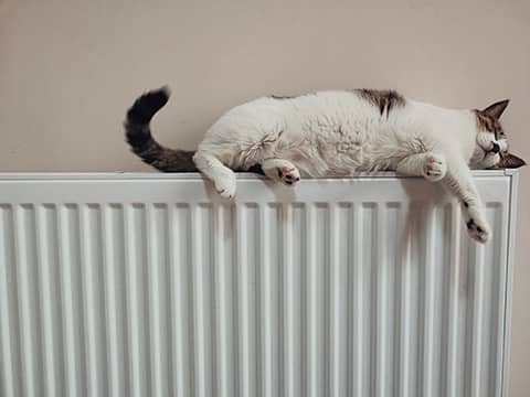 cat-central-heating1
